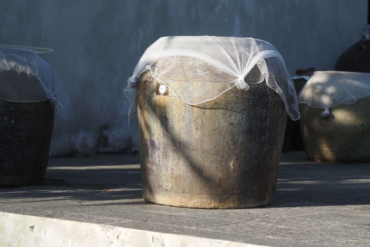 What to Look For in a Restaurant Reservation System (Asia, 2026)