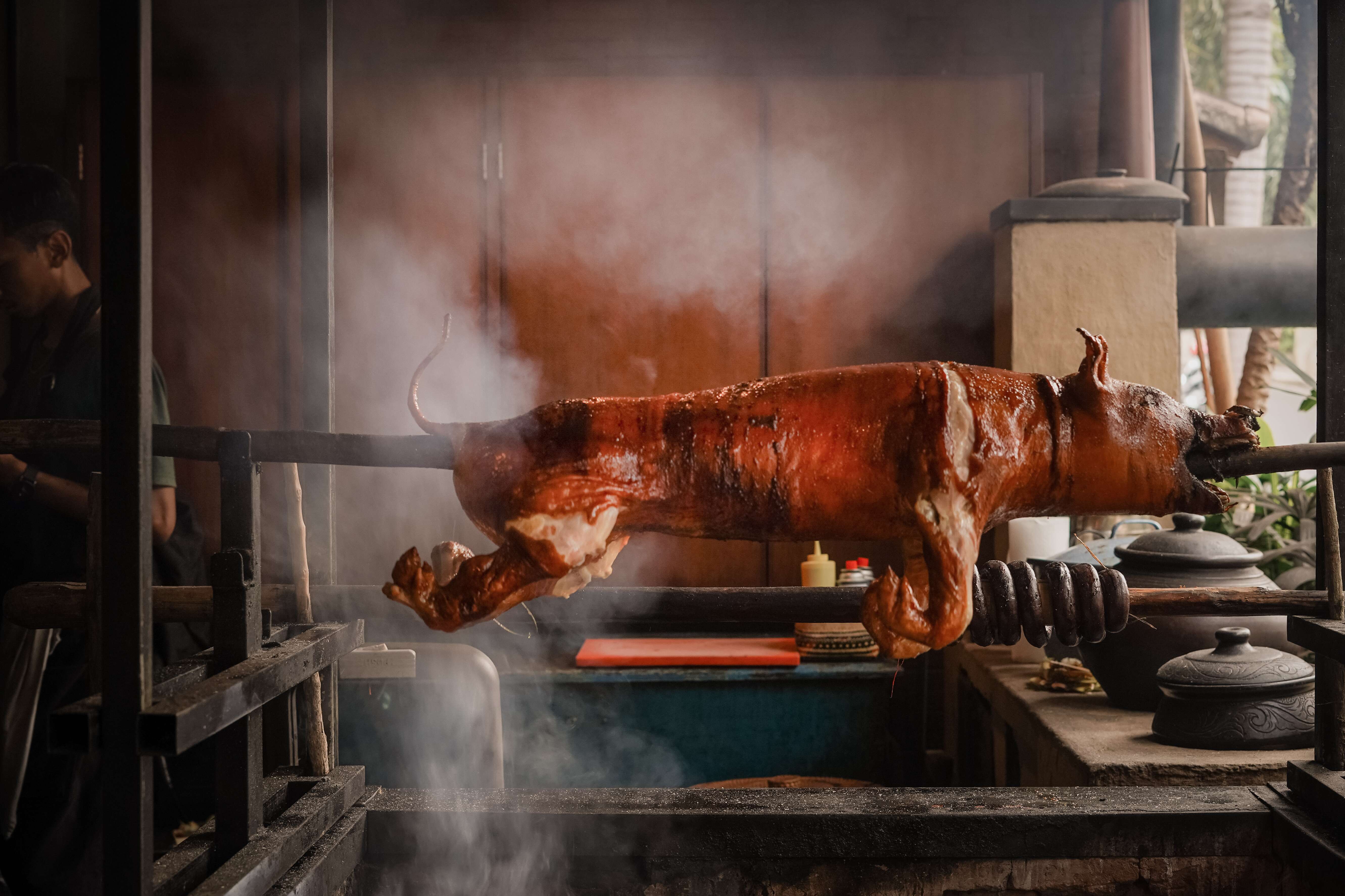 Pig on a spit